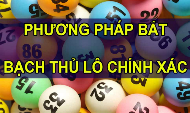 Kỹ thuật soi cầu bạch thủ cực kỳ cơ bản